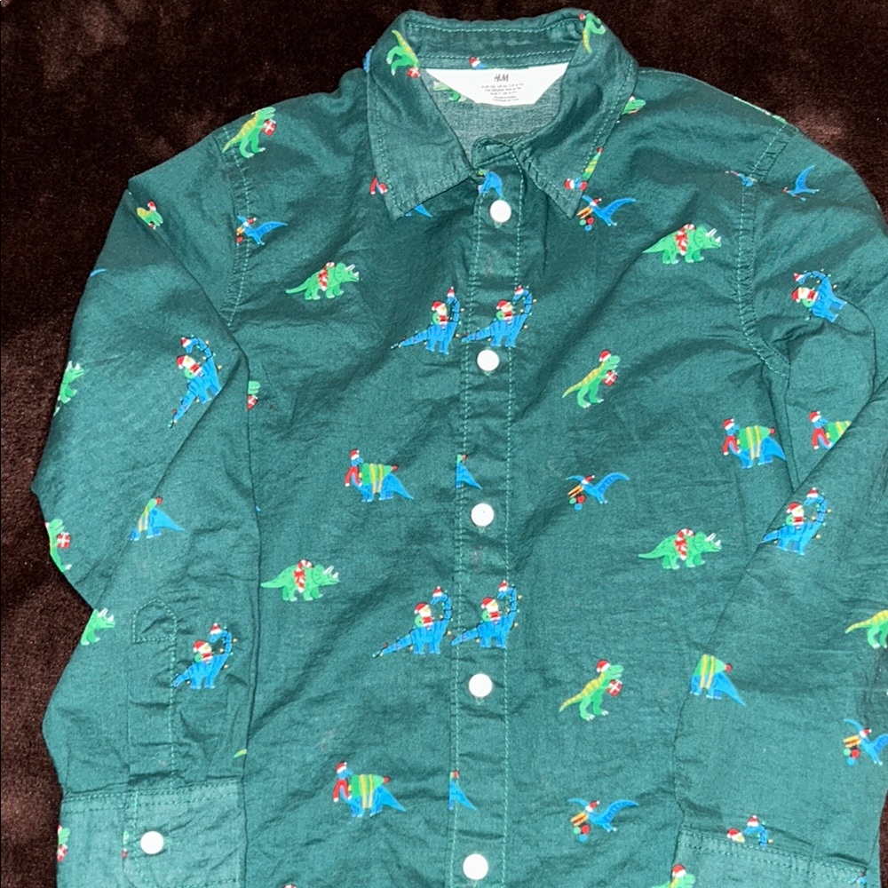 GAP Green and Blue Button Down Shirt